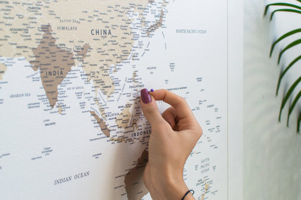 Push Pin World Map - Brown (Detailed)